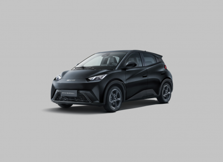 IMAGE POUR BYD SEAGULL